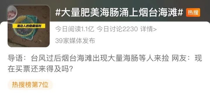 台风后大量肥美海肠被冲上沙滩，市民通宵赶海！南方吃货坐不住了：这到底是啥？有多好吃？